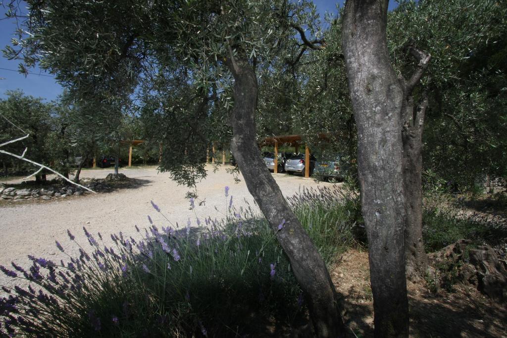 Hotel Le Madaleno Fontvieille Zewnętrze zdjęcie